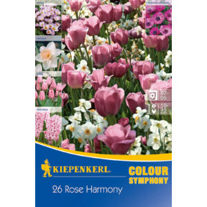 Színharmónia összeállítás 'Rose Harmony' (jácint-tulipán-nárcisz-krókusz-szellőrózsa, rózsaszín)