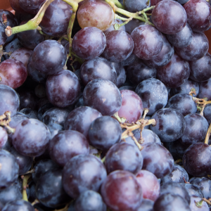 'Hamburgi muskotály' csemegeszőlő