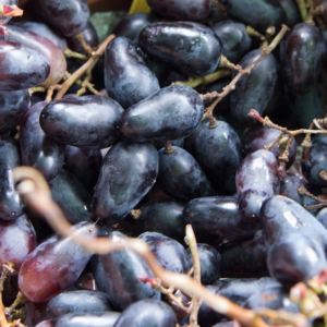 'Suvenir' különleges csemegeszőlő