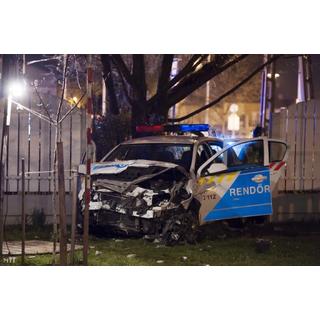 Biztosítás a sövényre és a kutyaólra