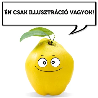 'Mezőkövesdi' birs (koros konténeres)