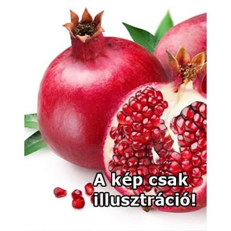Punica granatum 'Mangush' – Gránátalma Punica granatum 'Mangush' – Gránátalma