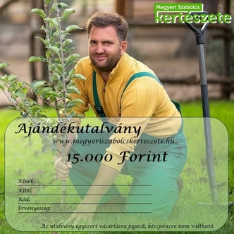 15.000 Ft - Ajándékutalvány 15.000 Ft - Ajándékutalvány