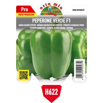 Capsicum annuum 'Magnum' F1 paprika (rezisztens) palánta