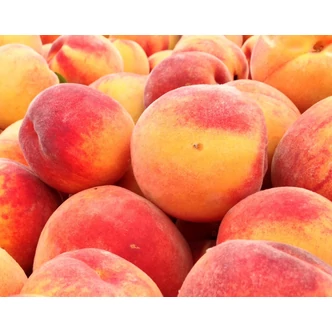 'Babygold 6' őszibarack (konténeres)