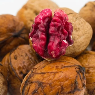 'Sychrov' diófa (fiatal konténeres csemete) 'Sychrov' diófa (fiatal konténeres csemete)