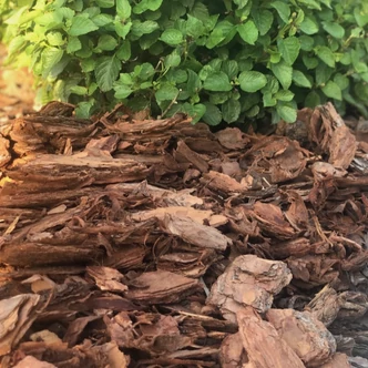 Vörösfenyő kéreg (3-8 cm) (60 liter)