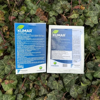 Kumar gombaölő szer