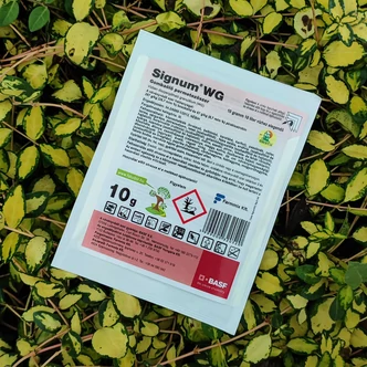Signum WG gombaölő permetezőszer