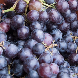 'Hamburgi muskotály' csemegeszőlő