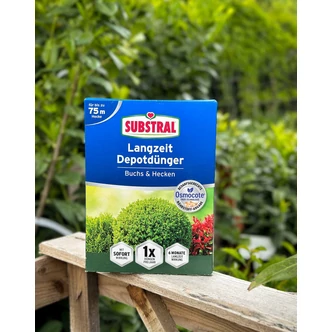 Substral Osmocote trágya buxus /tuják/fenyőfélék és sövénynövények számára 1,5 kg