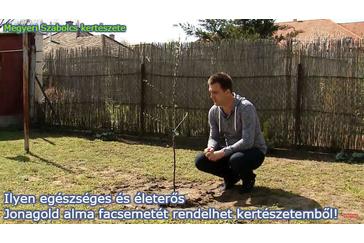 A Jonagold almafa téli védelme