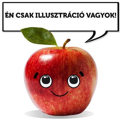 'Santa Maria' almafa (konténeres)