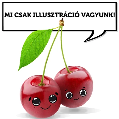 'Erika' cseresznyefa (öntermékeny) (konténeres)