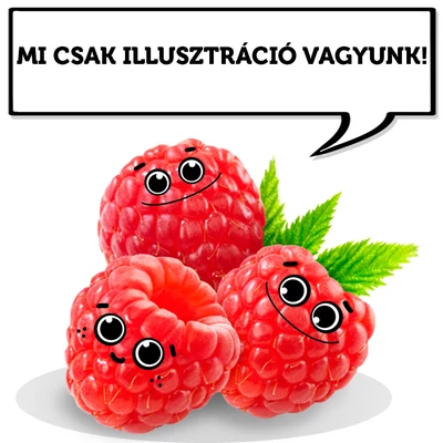 Rubus idaeus 'Resa' (syn.: 'Lucana') - Folytontermő tüske nélküli málna