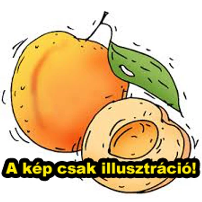 'Rakovszky' rezisztens kajszibarackfa