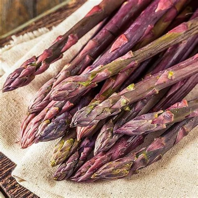 Asparagus 'Saent' – Lila spárga