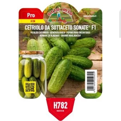 Cucumis sativus 'Sonate' F1 – Uborka (rezisztens)