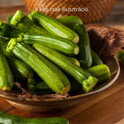 Cucurbita pepo 'Icona' F1 cukkini