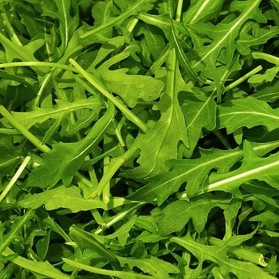 Diplotaxis tenuifolia - Évelő rukkola