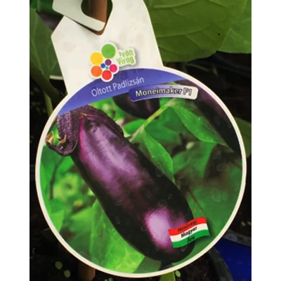 Solanum 'Moneymaker' F1 - Oltott padlizsán