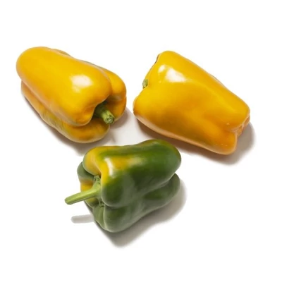 Capsicum annuum 'Mohay' F1 oltott paprika (rezisztens)