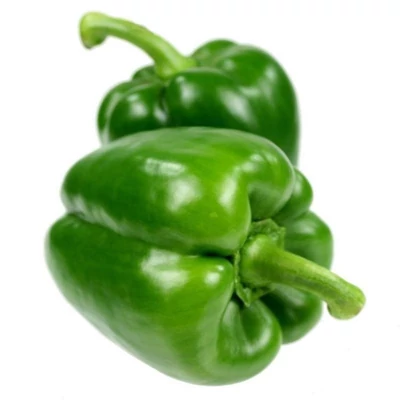 Capsicum – Kaliforniai paprika (zöld)