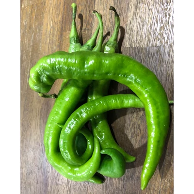 Capsicum 'Kecskeszarv' – Csípős paprika