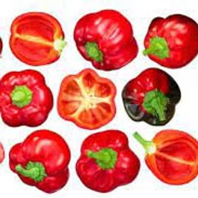 Capsicum 'Korál' – Cseresznyepaprika