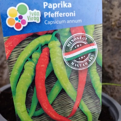 Capsicum – Pfefferoni paprika