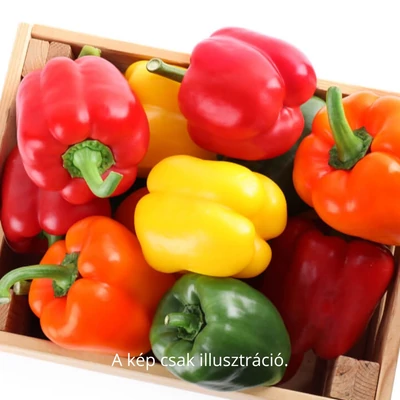 Capsicum 'Tara' F1 – Blocky paprika