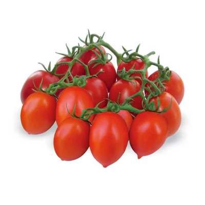 Solanum lycopersicum 'Dominus' F1 paradicsom (rezisztens)