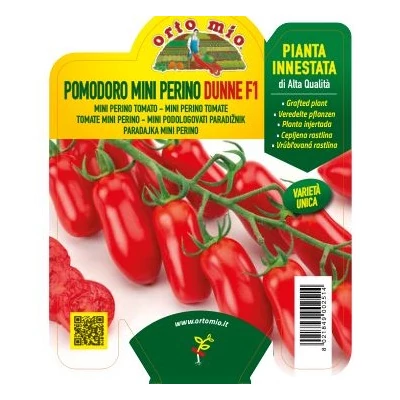 Solanum lycopersicum 'Dunne' F1 – Oltott paradicsom