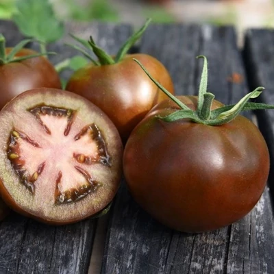 Solanum lycopersicum 'Kakao' F1 - Paradicsom (fekete) (rezisztens)