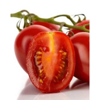 Solanum lycopersicum 'Zömök' – Paradicsom palánta