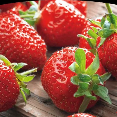 'Charlotte' folytontermő eper (4-es pakk)