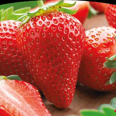 'Sandra' korai eper (4-es pakk)