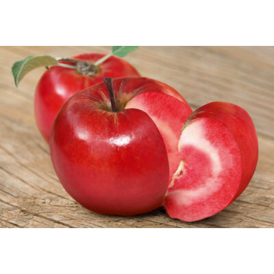 Vörösbelű (Kathy véralma) alma