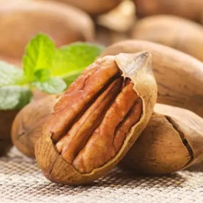 Carya illinoinensis 'Busseron' – Pekándiófa