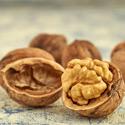 'Fernor' – Diófa (konténeres)