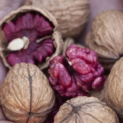 'Red Phantom' diófa (fiatal konténeres csemete)