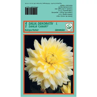 Dekoratív dália 'Canary' (fehér/sárga)    