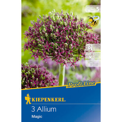 Profi-Line – Allium 'Magic' díszhagyma