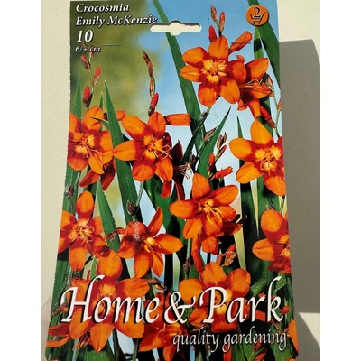 Crocosmia x crocosmiiflora 'Emily McKenzie' – Kerti sáfrányfű