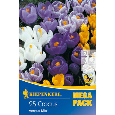 Mega-Pack – Nagyvirágú krókusz (színkeverék)