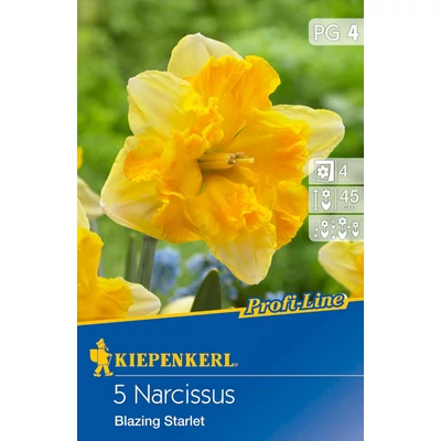 Profi-Line – Nárcisz 'Blazing Starlet'