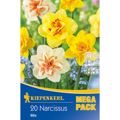 Mega-Pack – Nárcisz teltvirágú (színkeverék)