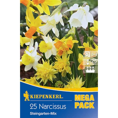 Mega-Pack – Botanikai nárcisz sziklakerti keverék