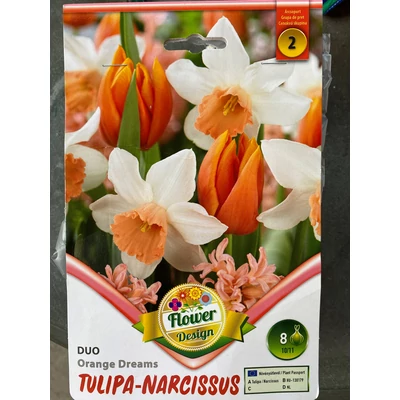 Tulipán Nárcisz Duo - Orange Dreams