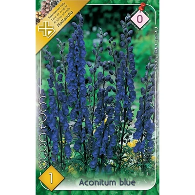 Aconitum blue - Sisakvirág
